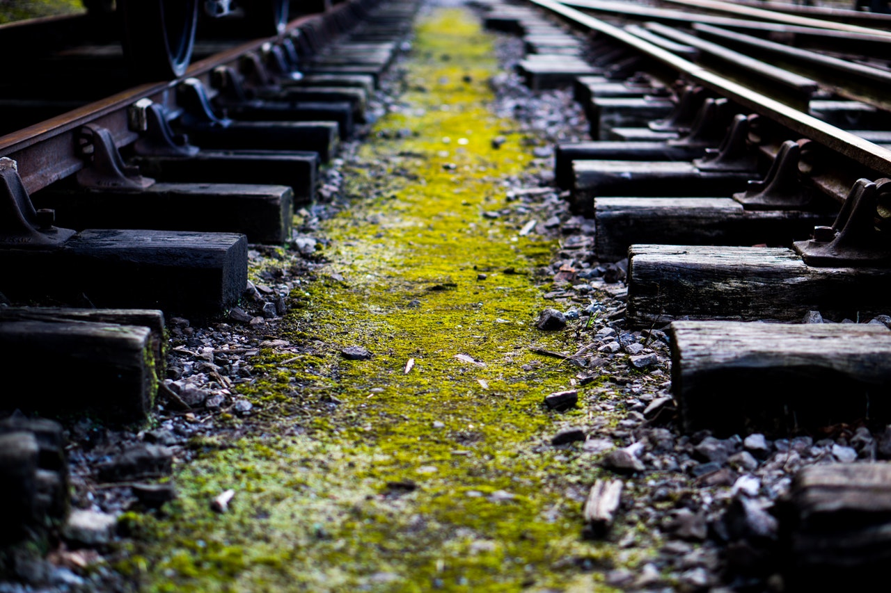 THE LATE TRAIN THE LATE TRAIN
